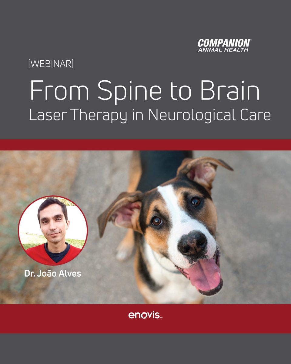 Webinar Companion Animal Health de Enovis sobre terapia láser en neurología veterinaria, con el Dr. João Alves