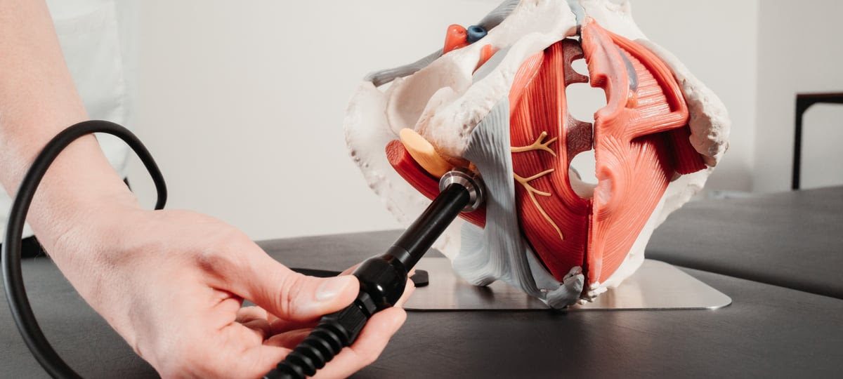 Tratamiento de suelo pélvico con tecnología Winback sobre modelo anatómico de pelvis